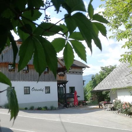 Bed and Breakfast Ortnerhof Ennstal Aigen im Ennstal Exteriér fotografie